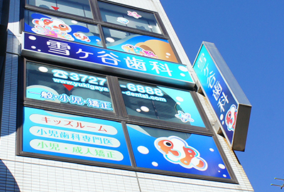 石垣島の海で出会った素敵などうぶつ工房